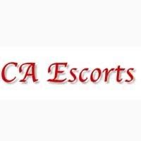 Local Escort Directory In Sarnia